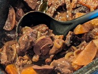 Bourguignon de sanglier