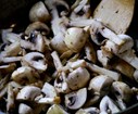 Lorsque les oignons ont bruni, ajoutez les champignons coupés en 4 et laissez cuire 10 minutes en mélangeant.