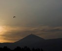 DSC00448.jpg