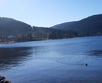 DSC01232.JPG