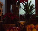DSC02765.jpg