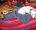 DSC03438.JPG