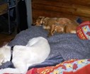 DSC03439.JPG