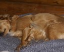 DSC03441.JPG