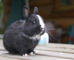 DSC03543.JPG