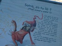 DSC03890.JPG