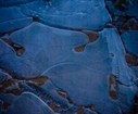 DSC04332.jpg