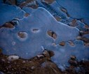 DSC04333.jpg