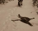 DSC04383.JPG