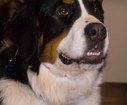 DSC04495.jpg