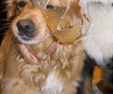 DSC04511.jpg
