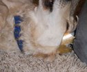 DSC04517.jpg