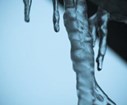 DSC04540.jpg