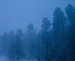 DSC04572.jpg