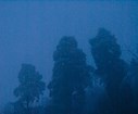 DSC04573.jpg
