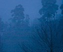 DSC04574.jpg