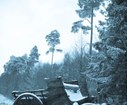 DSC04601.jpg