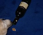 DSC04868.JPG