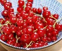 DSC05071.JPG