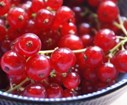 DSC05097.JPG