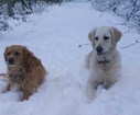 DSC05209.jpg