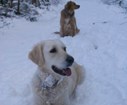 DSC05217.jpg