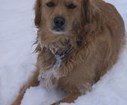 DSC05230.jpg