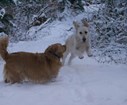 DSC05259.jpg