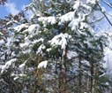 DSC05278.jpg