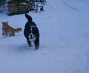 DSC05326.jpg