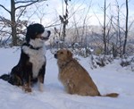 DSC05344.jpg