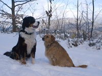 DSC05344.jpg