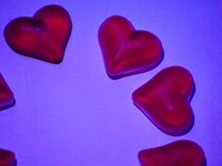 DSC05547-1.jpg