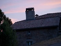 DSC07329.jpg