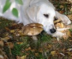 DSC08012.JPG