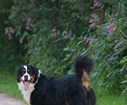 DSC08140.jpg