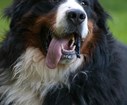 DSC08173.jpg