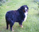 DSC08202.jpg