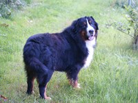 DSC08202.jpg