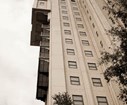 DSC08424.jpg