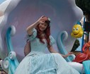 DSC08447.jpg