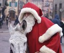 DSC09905.JPG