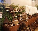 DSC09913.JPG