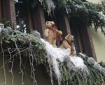 DSC09930.JPG