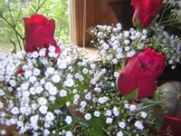 FLEURS.jpg