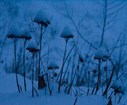 hiver.jpg