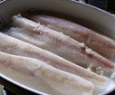 DSC01444.jpg