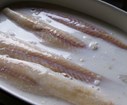 DSC01445.jpg