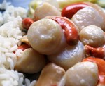 DSC08403.JPG