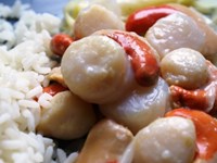 DSC08403.JPG